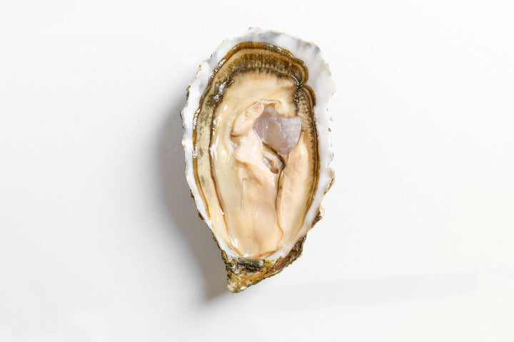 Oysters Barron Point USA [6pcs] - Greenwood Fish Market