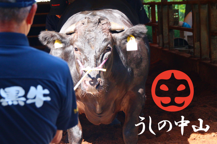 NEW: Nakayama A5 Wagyu Tenderloin Steak Cut [100g] - Greenwood Fish Market