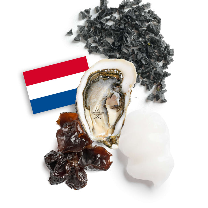 Oysters Dutch XO Netherlands [6pcs] - Greenwood Fish Market