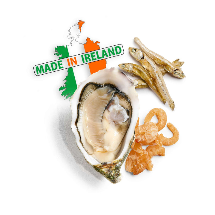 Oysters Umami No.3 [Ireland] (12pcs) - Greenwood Fish Market