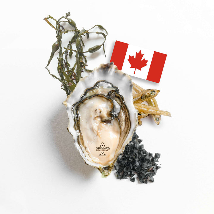 Oysters Mary Point Canada [6pcs] - Greenwood Fish Market