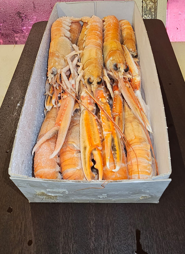 Frozen Whole Langoustines [800g Box, 8 to 12pcs] - Greenwood Fish Market