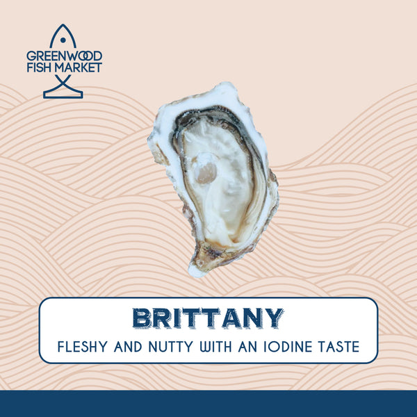 Premium Brittany oysters from France, offering a refined, briny taste.