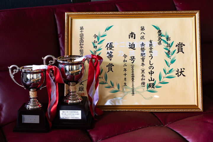 NEW: Nakayama A5 Wagyu Tenderloin Steak Cut [100g] - Greenwood Fish Market