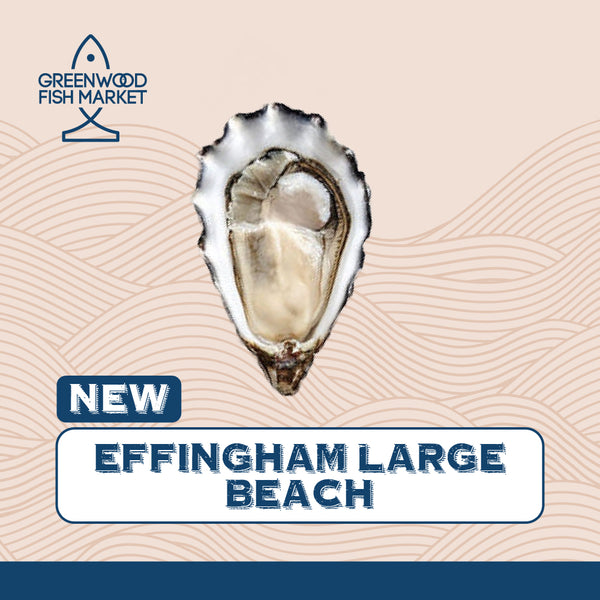 Oysters Effingham Large Beach Canada [6pcs]