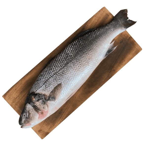 Whole sea bass, known for its tender white flesh, perfect for roasting.