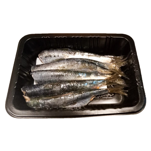 Frozen Fillet Breton Sardines France [250g]