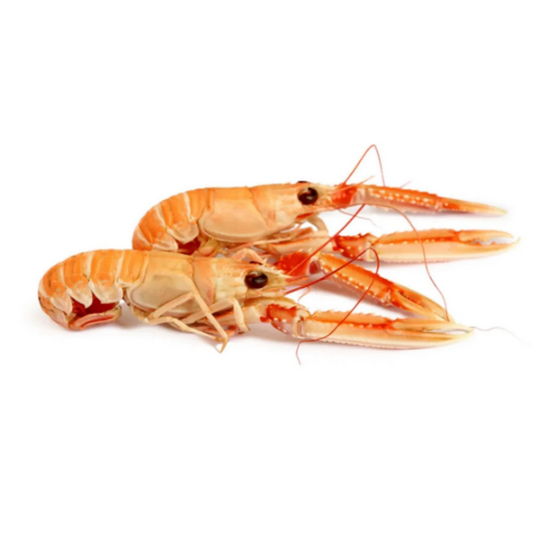 Frozen Langoustines [800g]