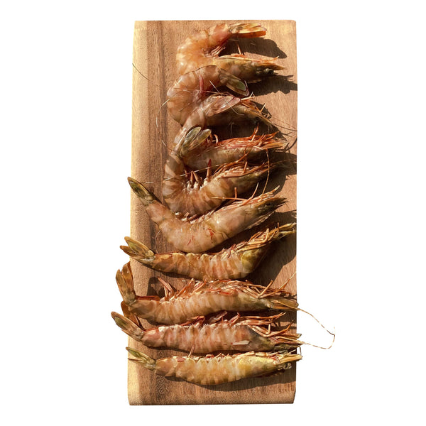 Frozen Prawns Wild Whole Tiger Prawns Australia [500g]