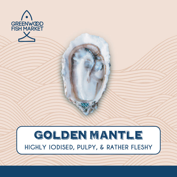 Oysters Golden Mantle Canada [6pcs]