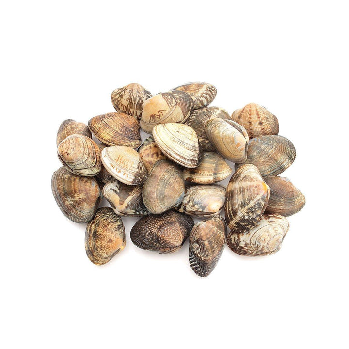  A kilogram of live Manila clams, great for pasta dishes and seafood soups.