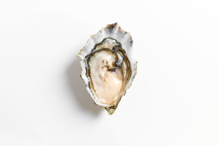 Oysters Mary Point Canada [6pcs] - Greenwood Fish Market