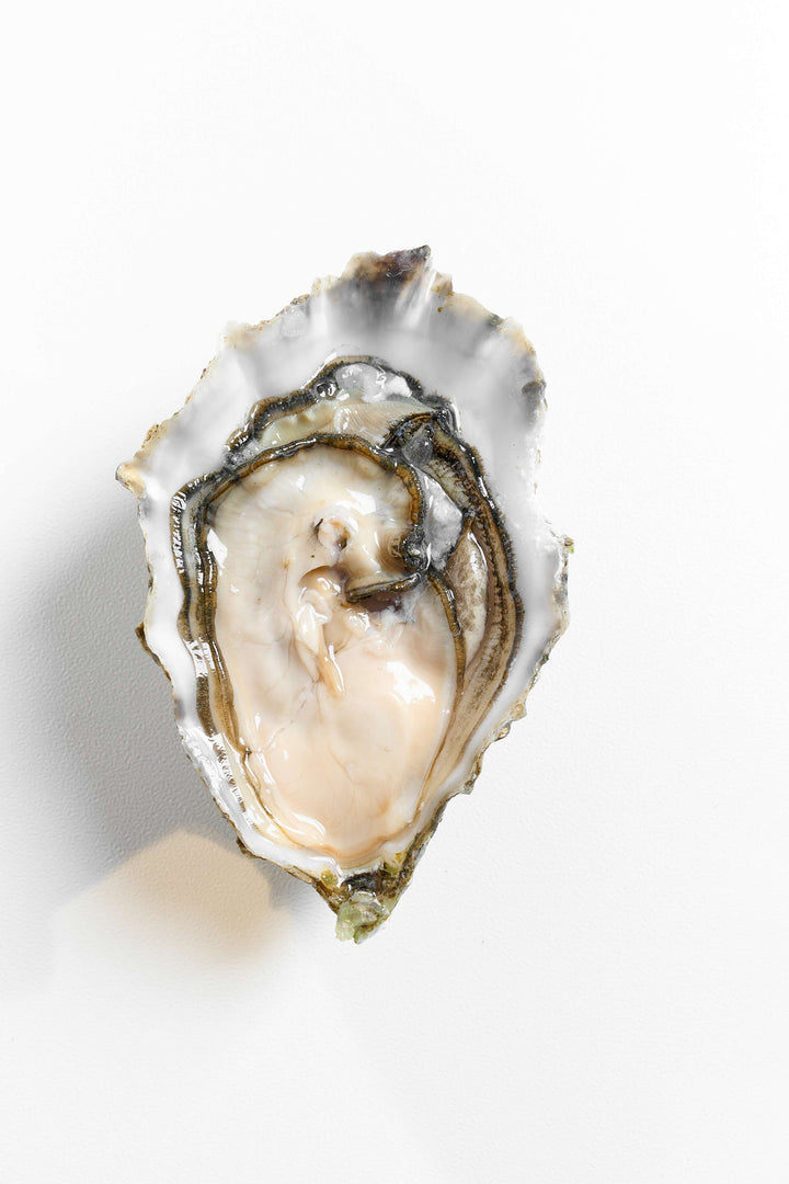 Oysters Mary Point Canada [6pcs] - Greenwood Fish Market