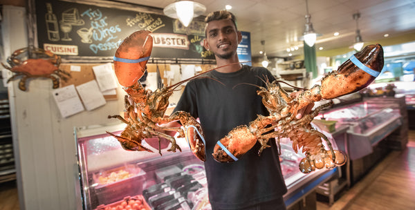 Jumbo Live Boston Lobster [1-2kg]