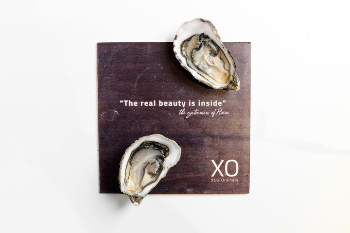 Oysters Dutch XO Netherlands [6pcs] - Greenwood Fish Market