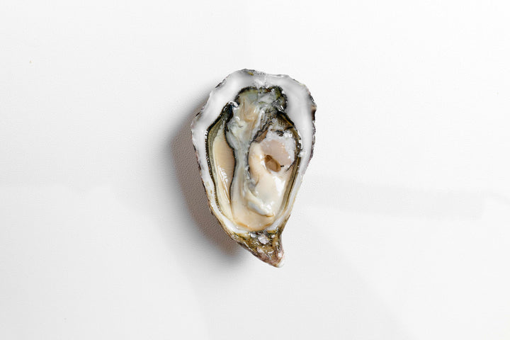 Oysters Krystale Spéciale N.3 France [6pcs] - Greenwood Fish Market