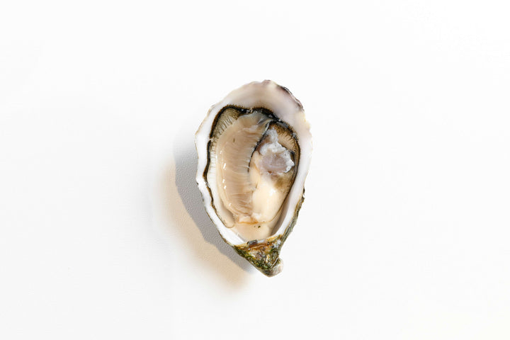 Oysters Umami Ireland [6pcs] - Greenwood Fish Market