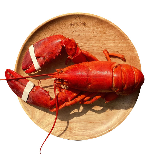 Ready-to-Eat Cooked Boston Lobster [500g]